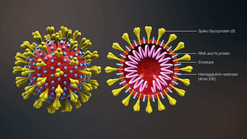 2019–20 Coronavirus Outbreak