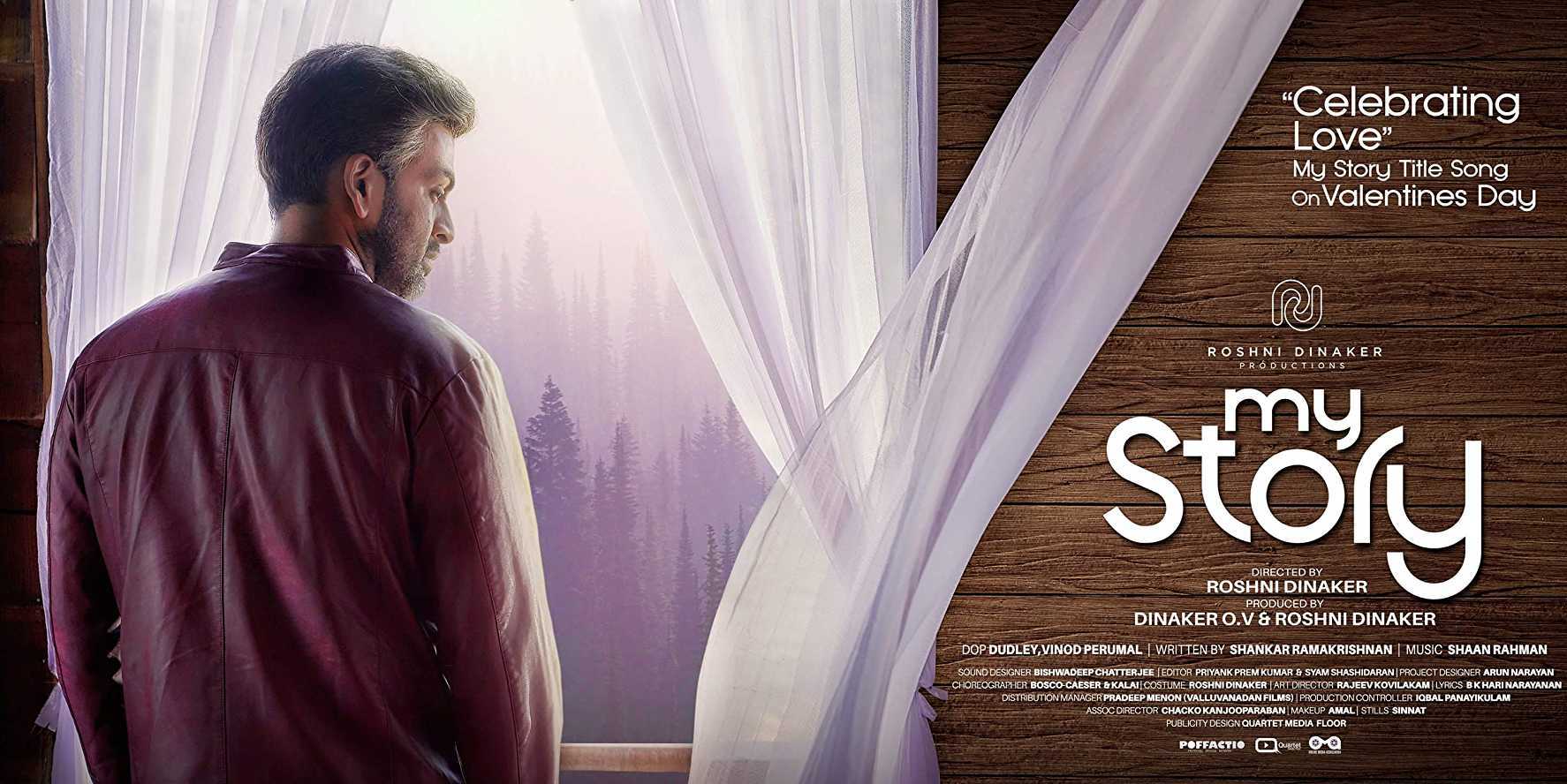 My Story Poster